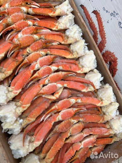 Клешни краба стригуна