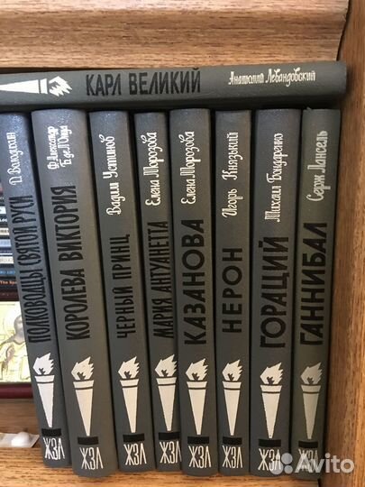 Биографии в серии Жизнь замечательных людей