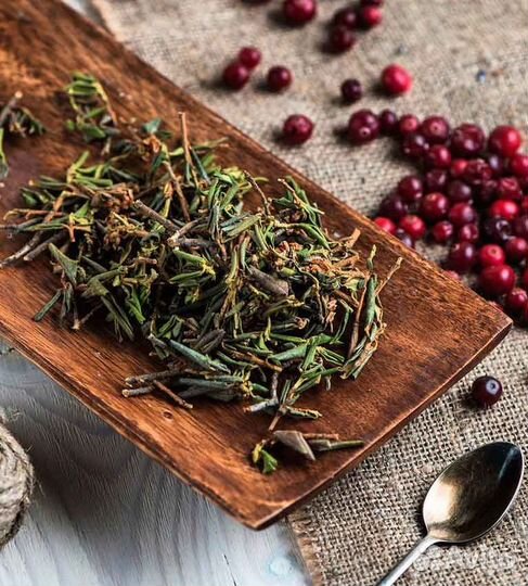 Саган дайля