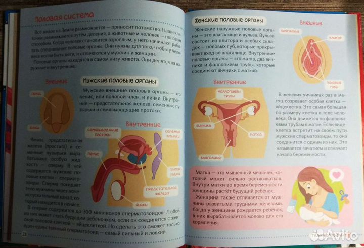 Энциклопедия 