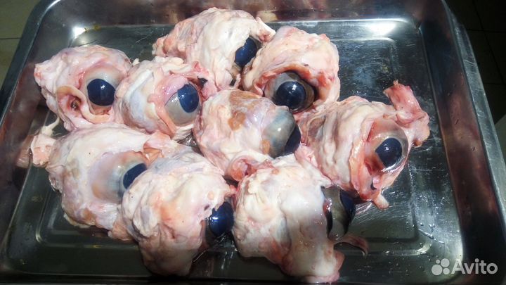 Натуральный корм для животных