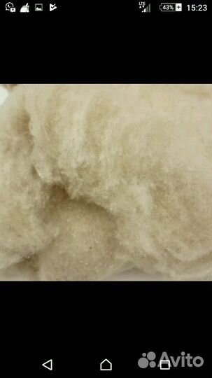 Прочёс шерсти и ваты