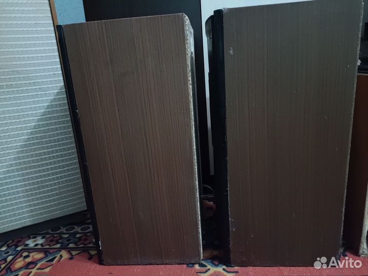 Акустическая система Вега 50ас-106