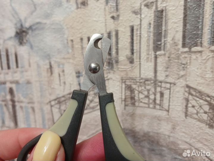 Ножницы для кошки