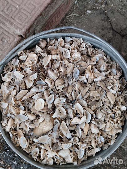 Корм, дя животных, птицы