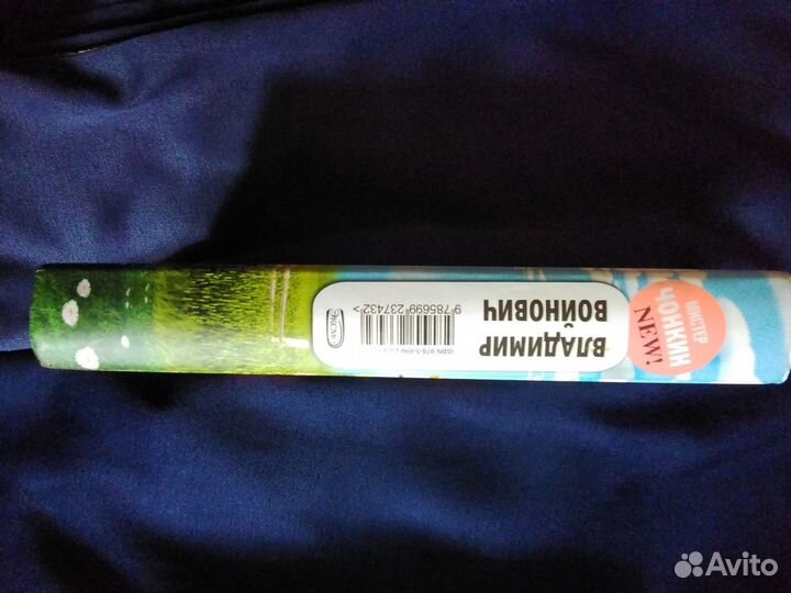 В Войнович.приключения солдата Чонкина Книга 3