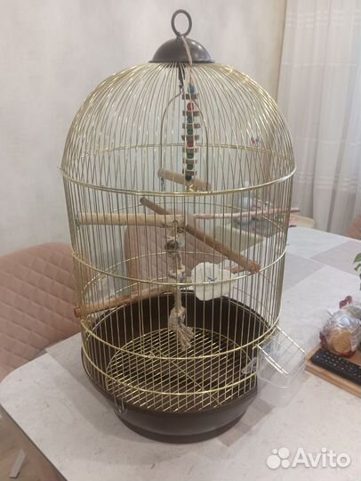 Клетка для попугая