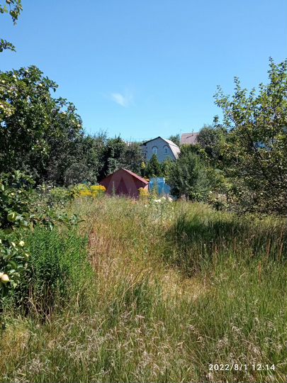 Дача 31 м² на участке 6 сот.