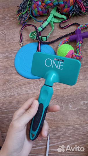 Игрушки и амуниция доя собак