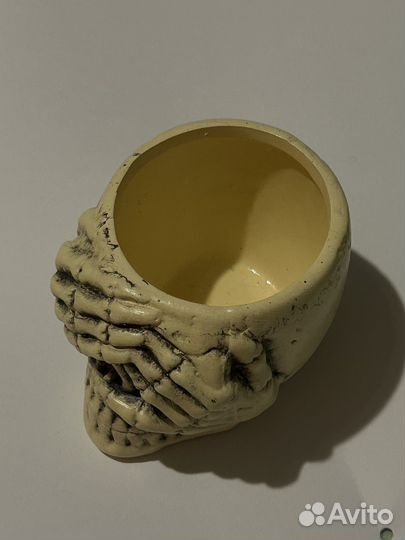 Горшки для кактусов и суккулентов