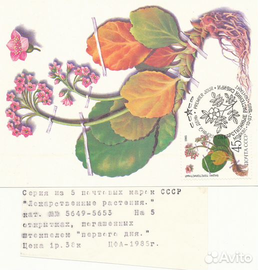 Картмаксимумы СССР со спецгашением