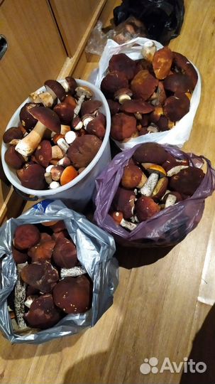 Рыбалка и отдых
