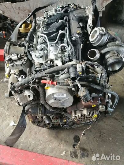 Тнвд виваро меган2 M9R