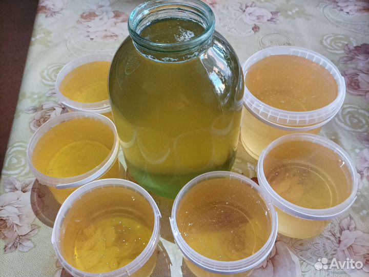 Мед майский (акация) 2023 Доставка