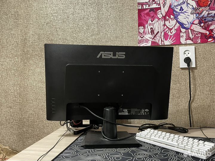 Монитор asus VA24EHE