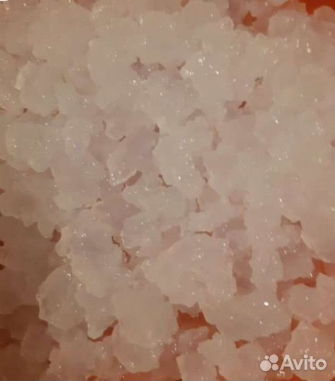 Морской индийский рис