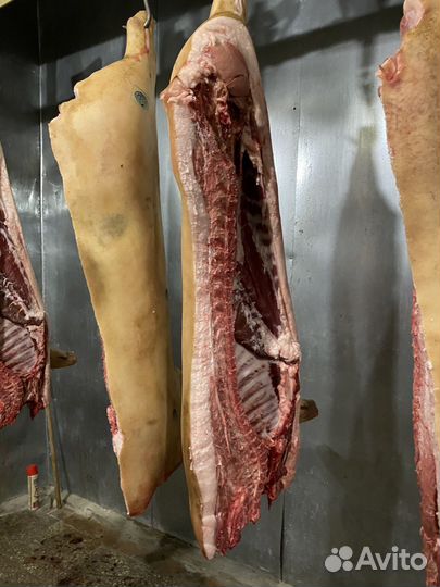 Мясо свинина домашняя