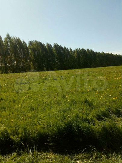 Участок 11,1 сот. (ИЖС)