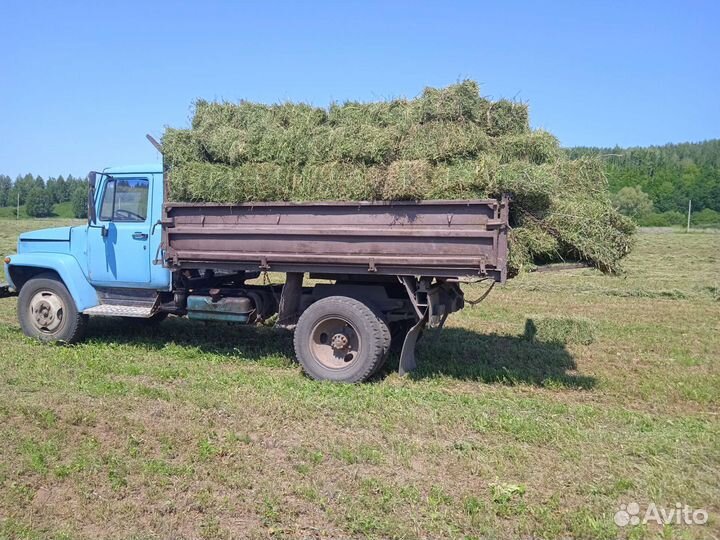 Сено в тюках и рулонах