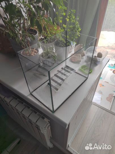 Аквариум 35л с мостиком для амфибий