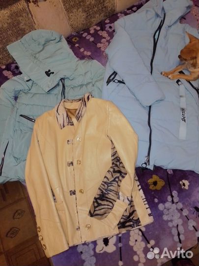 Куртки на 3 сезона
