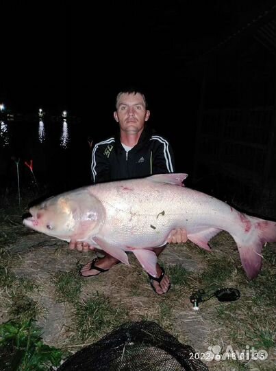 Технопланктон