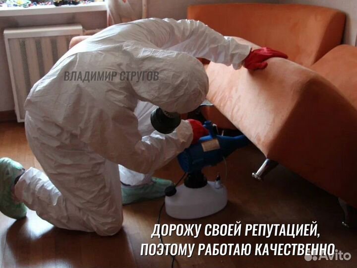 Уничтожение клопов, травить тараканов /Дезинфекция