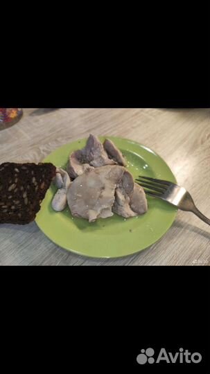 Печень трески