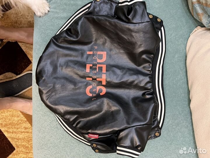 Одежда для собак