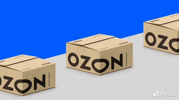 Водитель-экспедитор в Ozon на Ford Транзит