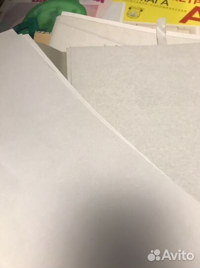 Бумага/картон: А4, А3, акварельная, миллиметровая