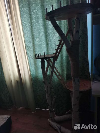 Домик для кошки с когтеточкой новый