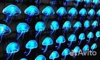 Голограмма 3D