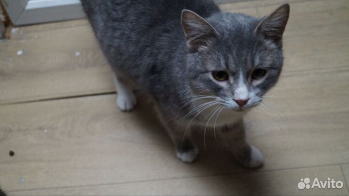 Мальчик Сережка