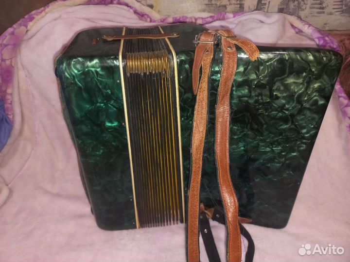 Аккордеон Новосибирск