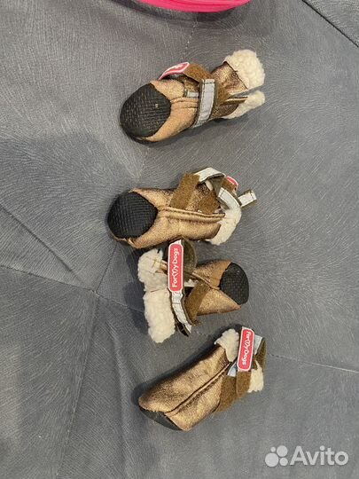 Одежда для маленьких собак