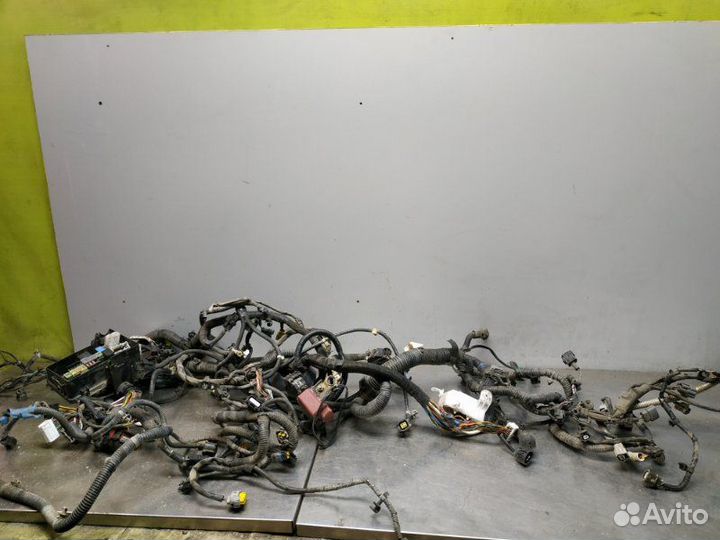 Проводка двс Nissan Qashqai+2 JJ10E MR20DE 2010