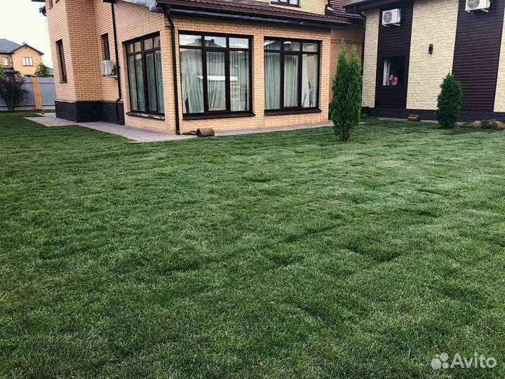 Рулонный газон от производителя