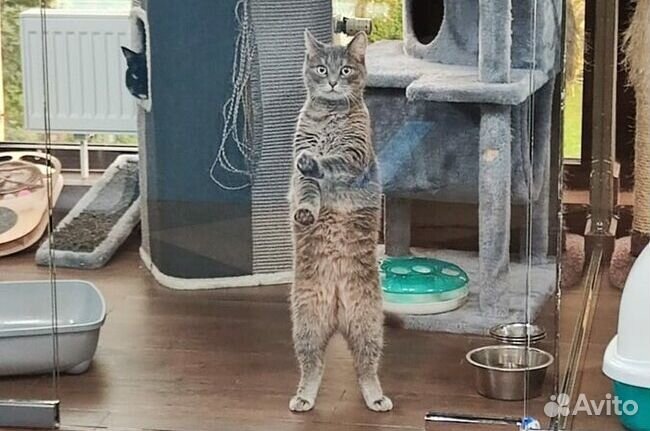 Выберите меня