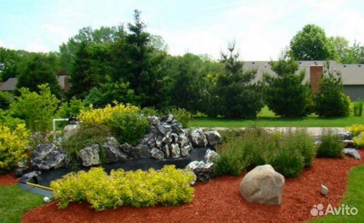 Кора сосновая