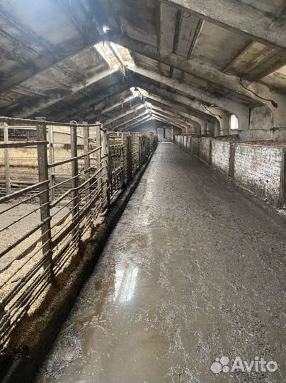 Продам фермы