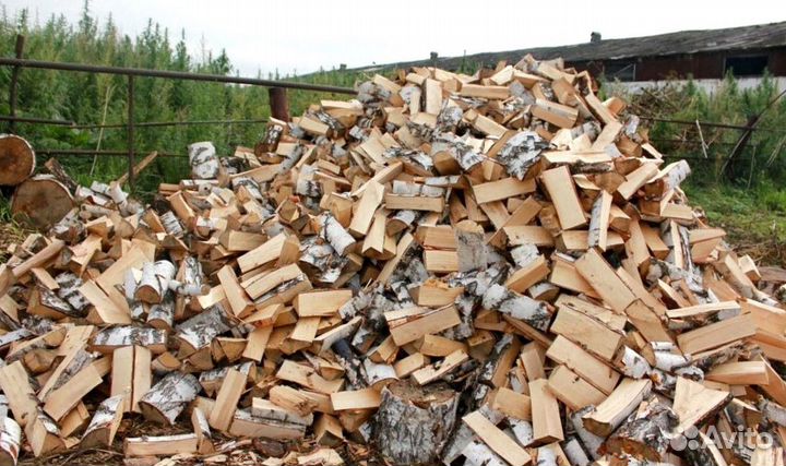 Дрова осина