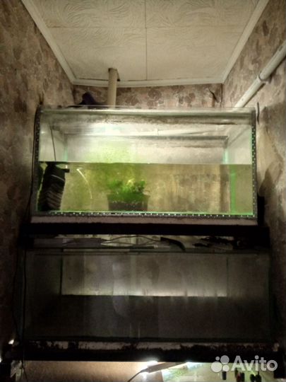 Ширма для торговли аквариум рыбками