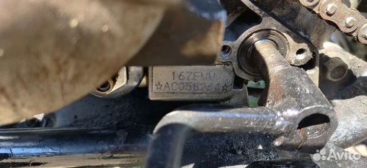 Patron scaner 250, Злой зверь, обмен