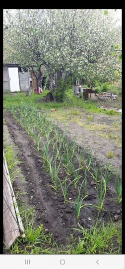 Участок 6,2 сот. (СНТ, ДНП)