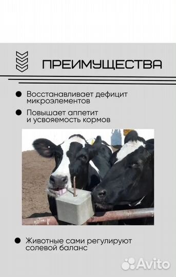 Соль лизунец