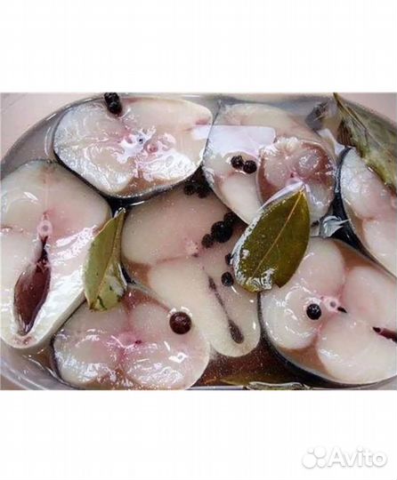 Малосольная скумбрия домашнего посола