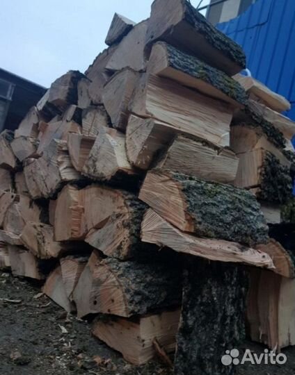 Дрова дубовые