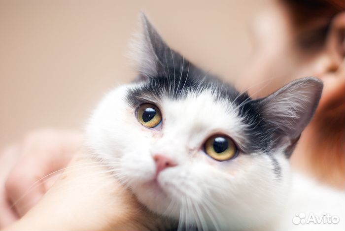 Молоденькая киска Полинка