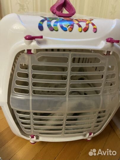 Переноска для животных,когтеточка для кота